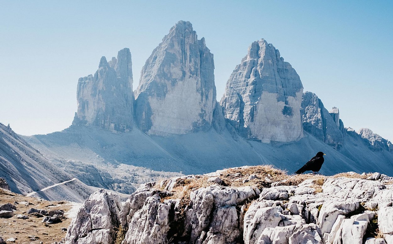 Hiking holidays Kronplatz, Rudolf / Riscone Val Pusteria You decide how high you want to get - to the next Alpine hut, straight to the summit or along the back of the mountain - Kronplatz hiking holidays.